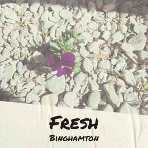 Album Fresh Binghamton from Various Artists