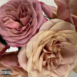 收聽Juisemoney的Punta Cana (Explicit)歌詞歌曲