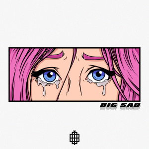 收听Balancing the Different的Big Sad歌词歌曲