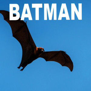 Dengarkan lagu Batman nyanyian Adrian Portus Pianist dengan lirik