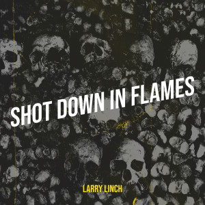 Listen to Shot Down in Flames song with lyrics from Larry Linch
