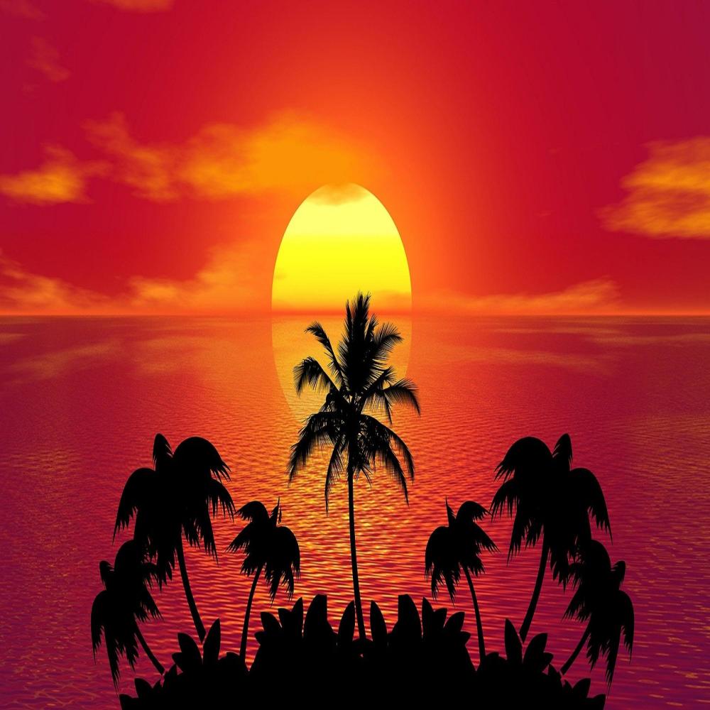 Sunshine (Explicit)