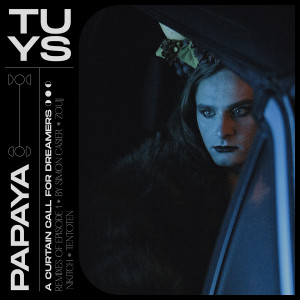 Listen to Papaya (Ten to Ten Remix) song with lyrics from Tuys