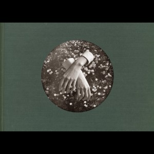 ดาวน์โหลดและฟังเพลง Sea of Glass พร้อมเนื้อเพลงจาก Aspidistrafly