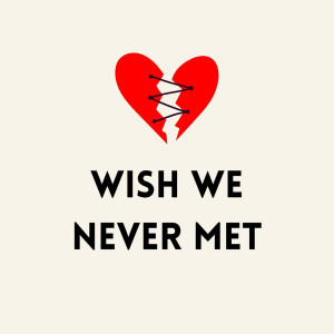 Various的專輯Wish We Never Met (Explicit)