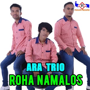 Album ROHA NAMALOS oleh ARA TRIO