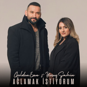 Album Ağlamak istiyorum from 