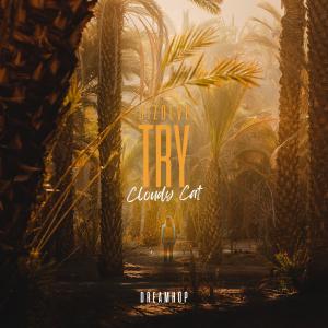 Listen to Try song with lyrics from Dizolve