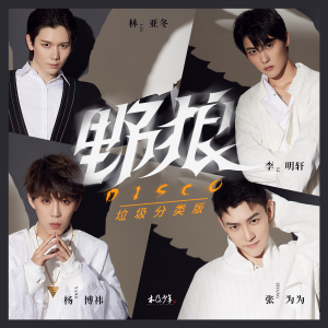 Listen to 野狼Disco (垃圾分类版伴奏) song with lyrics from 木及少年