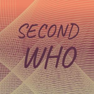 Various Artists的專輯Second Who