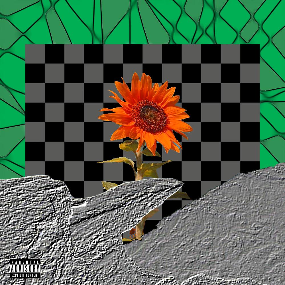 goblin brain (feat. black808) (Explicit)