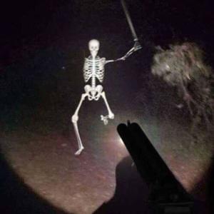 Album skeletons (feat. FoolieDude) (Explicit) from Sapphire2001