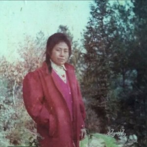 Listen to 摘苦丁茶的妈妈 (完整版) song with lyrics from 杨明建