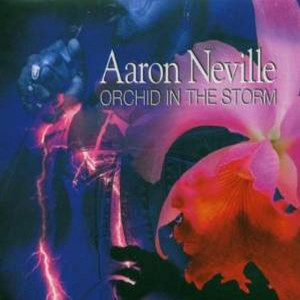 收聽Aaron Neville的Mickey Mouse March歌詞歌曲