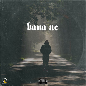 Album Bana Ne (Explicit) from Press