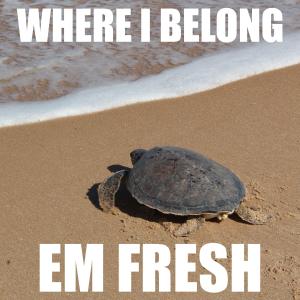 Album Where I Belong from 
