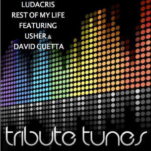 ดาวน์โหลดและฟังเพลง Rest of My Life (Tribute to Ludacris Feat. Usher & David Guetta) พร้อมเนื้อเพลงจาก Precision Tunes