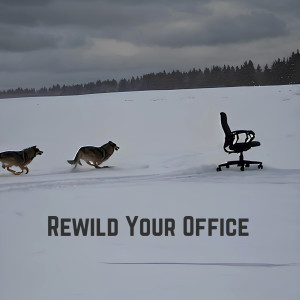 ดาวน์โหลดและฟังเพลง Rewild Your Office พร้อมเนื้อเพลงจาก The Jackass-Penguin Show