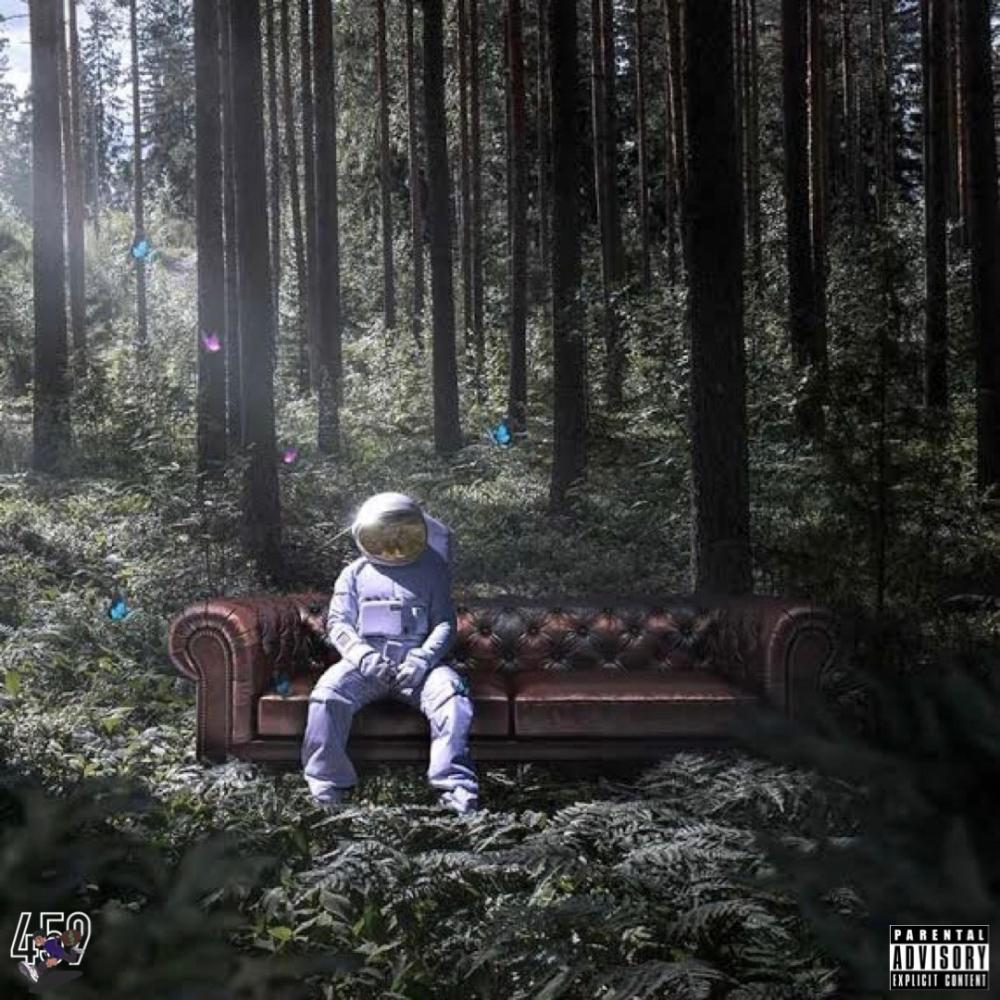 Platinum Vibes (Explicit)