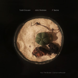 Todd Clouser的專輯You The Brave : Live at Icehouse