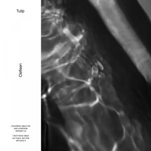 Listen to 튤립 (Tulip) song with lyrics from 플린 (Fleen)