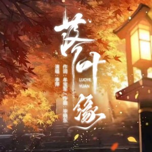 Album 《落叶缘》牟宝军广场舞DJ from 毕晓东菩提