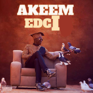 Listen to SEYNI KOUNTCHE (Explicit) song with lyrics from Akeem