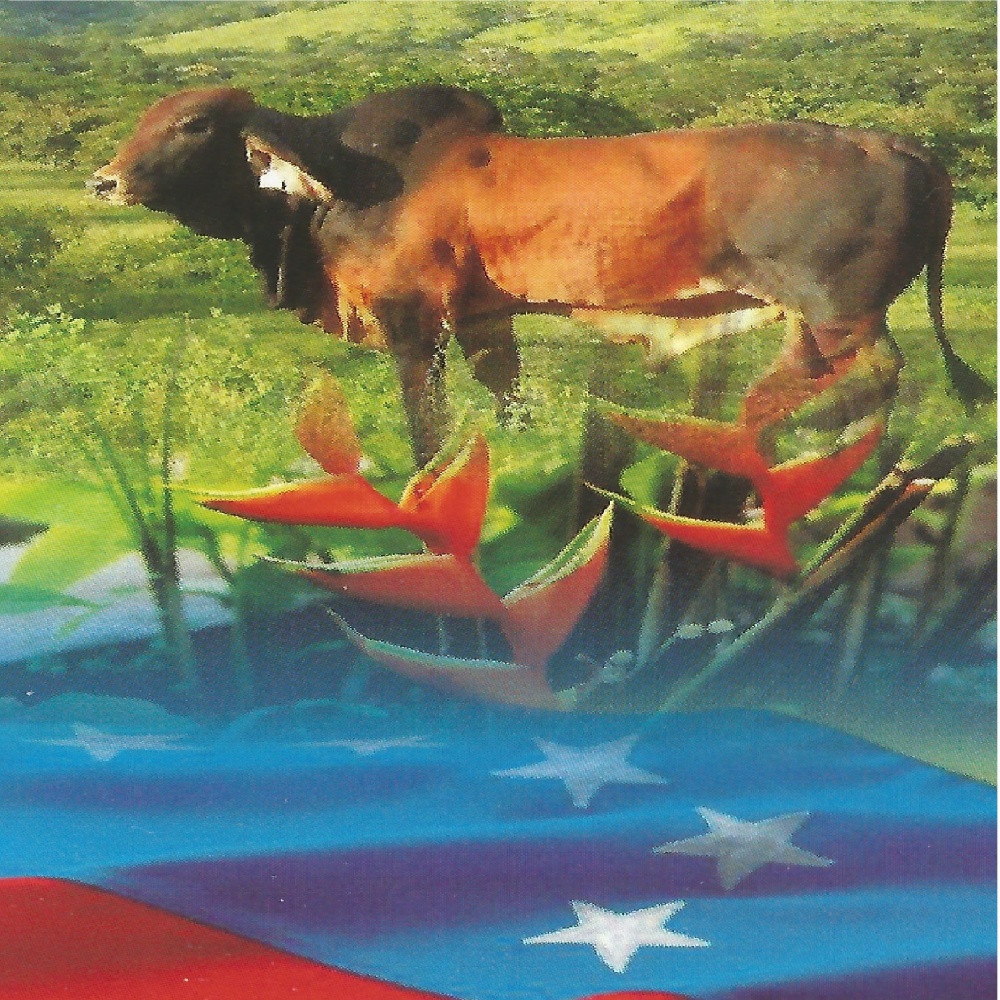 Pascua Linda