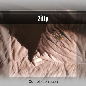 อัลบัม Zitty ศิลปิน Various