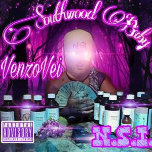ดาวน์โหลดและฟังเพลง Hot Shit (Rmx|Explicit) พร้อมเนื้อเพลงจาก VENZO VEI