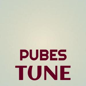 Various的专辑Pubes Tune