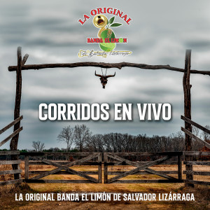 La Original Banda El Limón de Salvador Lizárraga的專輯Corridos En Vivo La Original Banda El Limón (Explicit)