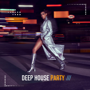 Various Artists的專輯Deep House Party (Best of)
