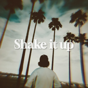 The Show的专辑Shake it up