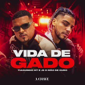 Listen to Vida de Gado song with lyrics from Thiaguinho MT