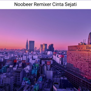 Album CINTA SEJATI (Remix) oleh Noobeer Remixer