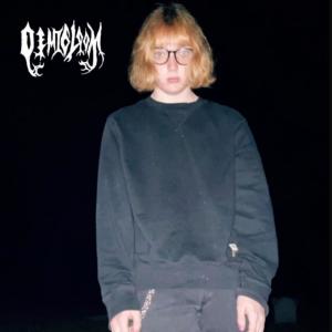 Dengarkan Outerspace (feat. animal control) lagu dari Demigloom dengan lirik