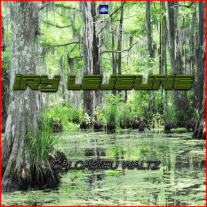 Listen to Bayou Pon Pon Special song with lyrics from Iry LeJeune