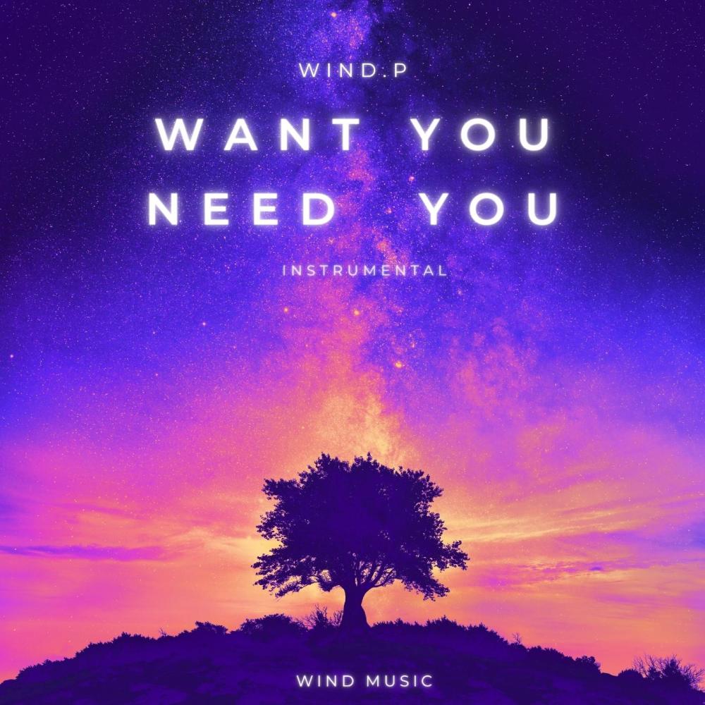 Want You Need You (Instrumental)