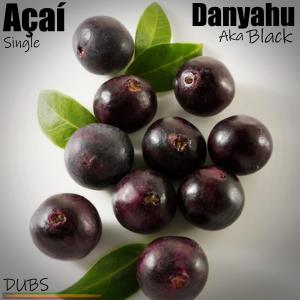 Daniel black的专辑Açaí dub