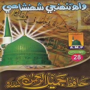 Hafiz Jamil Ul Rehman Gandro的專輯Wah Tunjhi Shehenshahi, Vol. 28