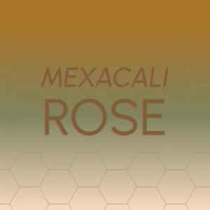 อัลบัม Mexacali Rose ศิลปิน Silvia Natiello-Spiller