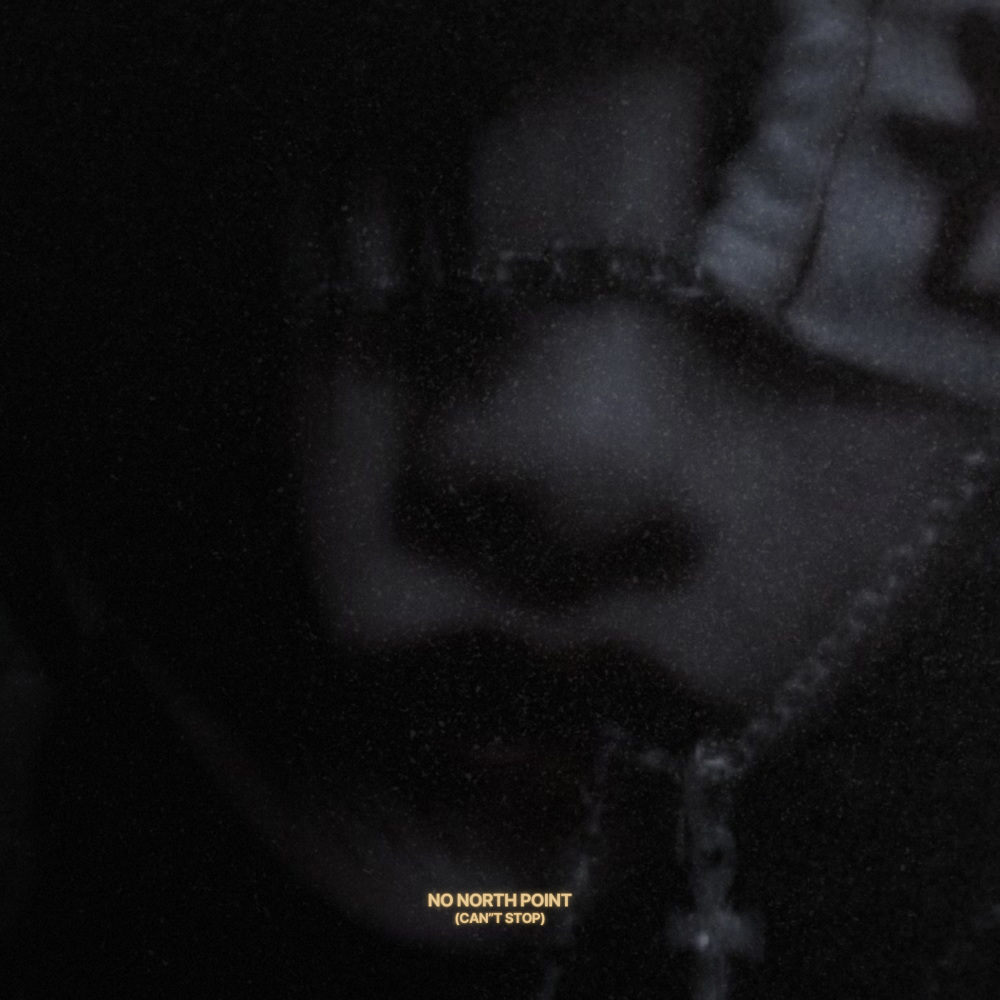 Can't Stop (No North Point) (Demo)