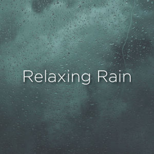 收听Relaxing Rain Sounds的Bird Sounds in Storm歌词歌曲