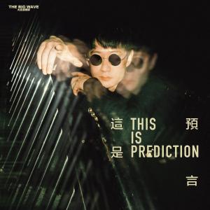 大波浪樂隊的專輯這是預言