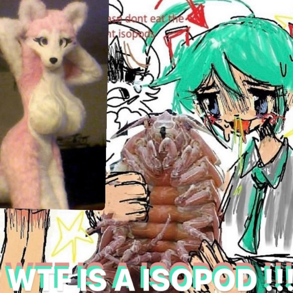 WTF IS A ISOPOD !!! (feat. Gorgasm, Six Feet Under, Cryptopsy & Massacre) (Explicit)