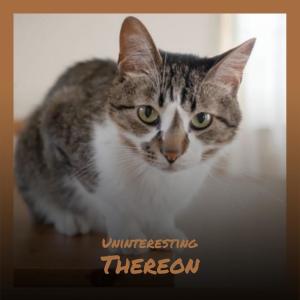 ดาวน์โหลดและฟังเพลง Trifle Misfield พร้อมเนื้อเพลงจาก Leron Rato
