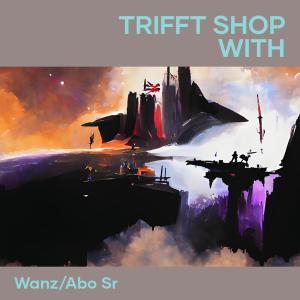 อัลบัม Trifft Shop With ศิลปิน Wanz