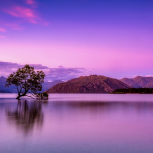 收听Emerson Dane的Let Go Negativity歌词歌曲