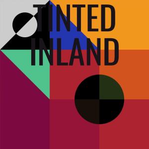 Various Artists的專輯Tinted Inland